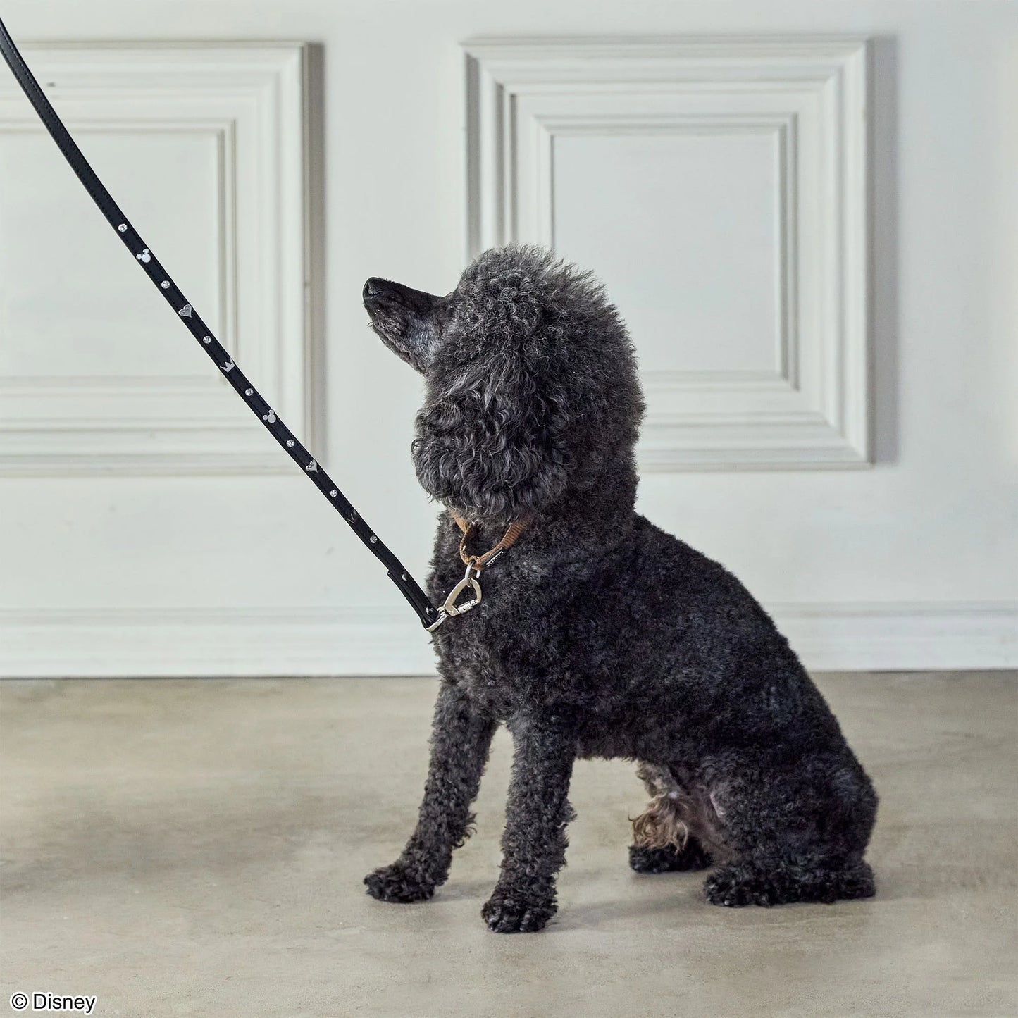 ペットリード モノグラム - KINGDOM HEARTS PETs