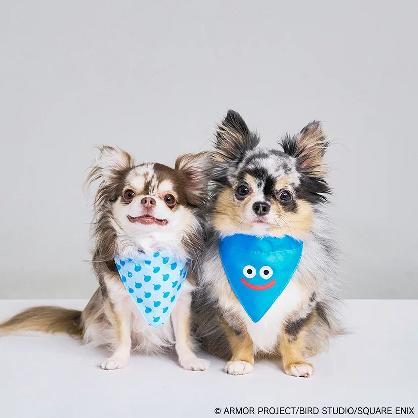 ペットバンダナ スライム - DRAGON QUEST PETs