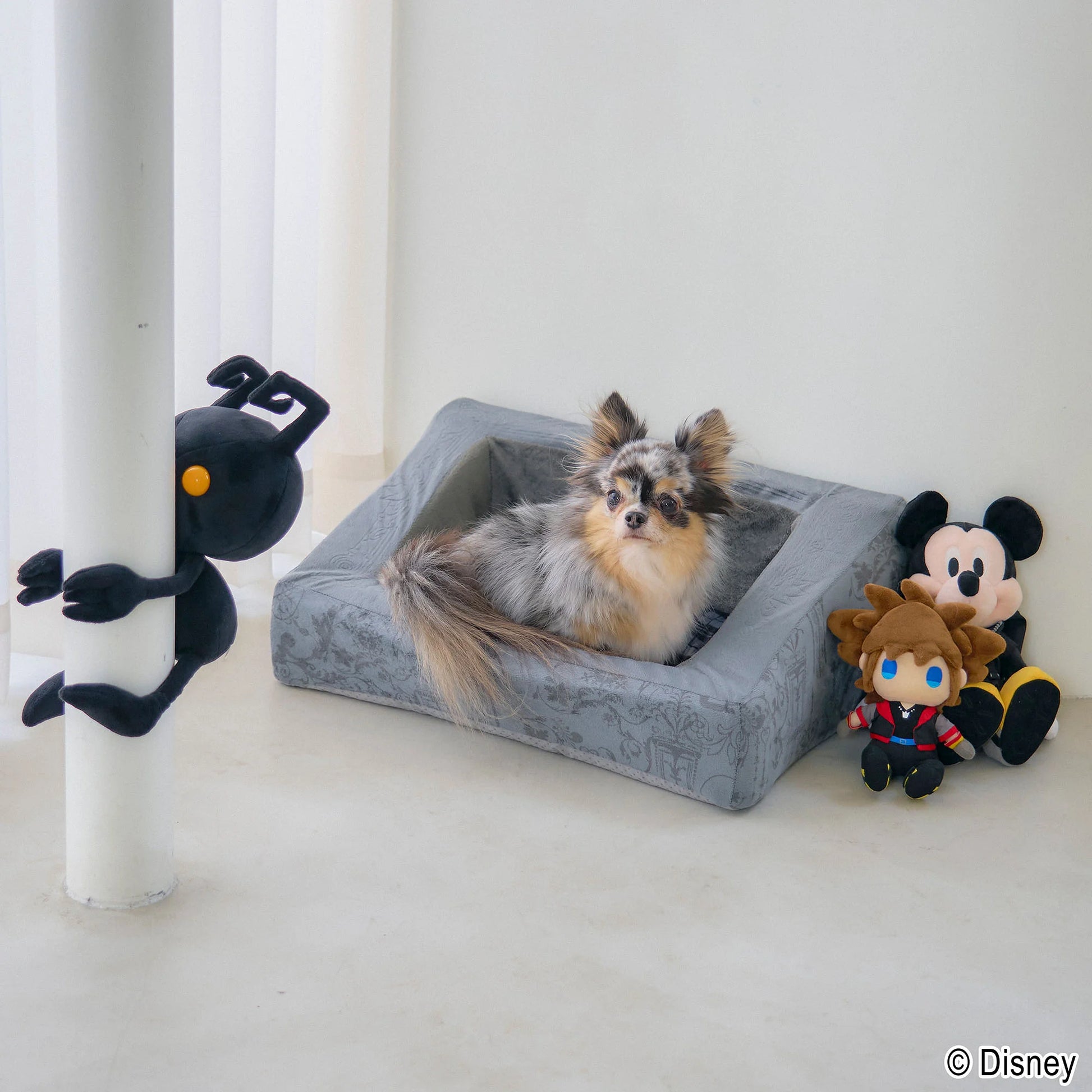 ペットベッド フレームアート - KINGDOM HEARTS PETs