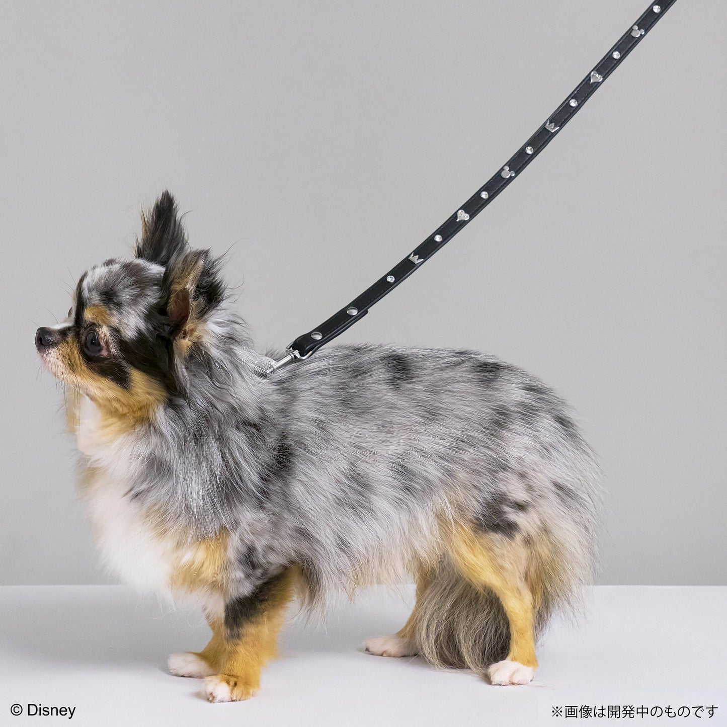 ペットリード モノグラム - KINGDOM HEARTS PETs