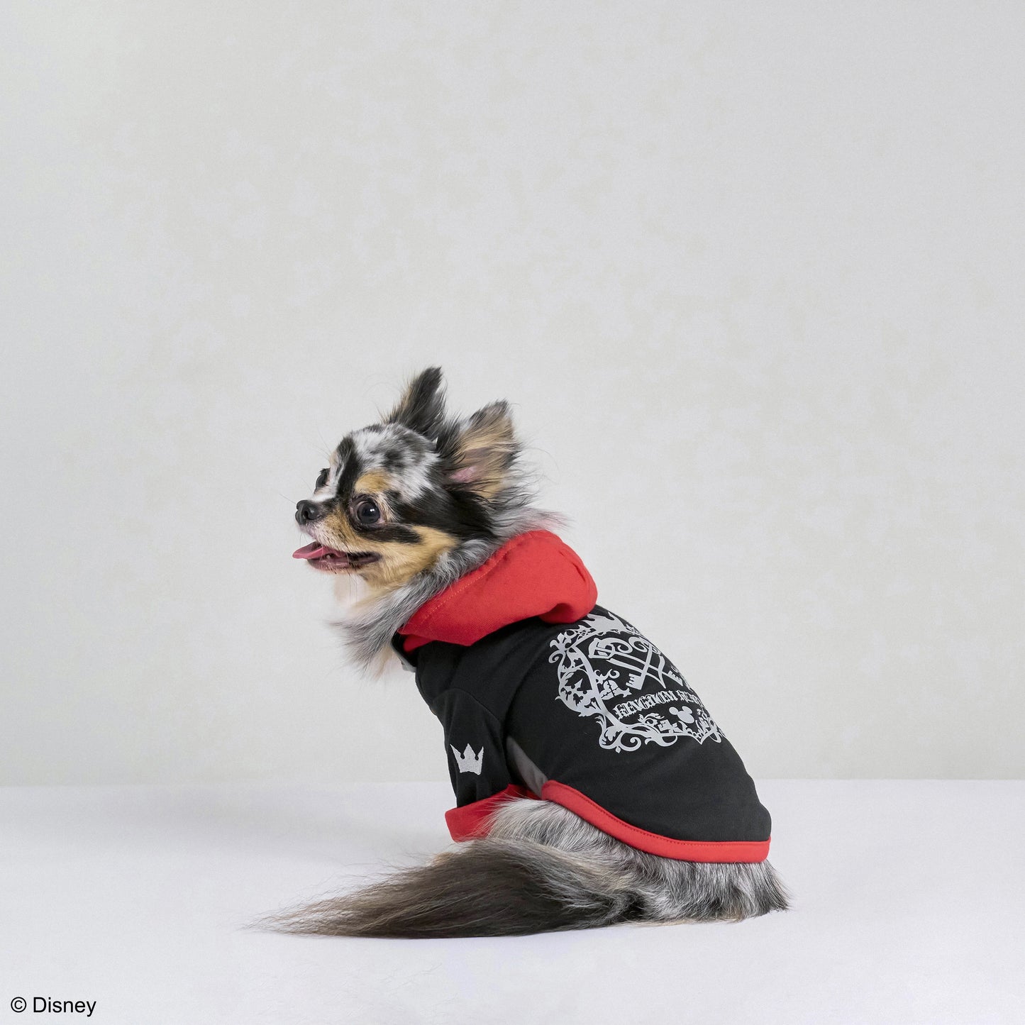 ドッグウェア ソラ - KINGDOM HEARTS PETs
