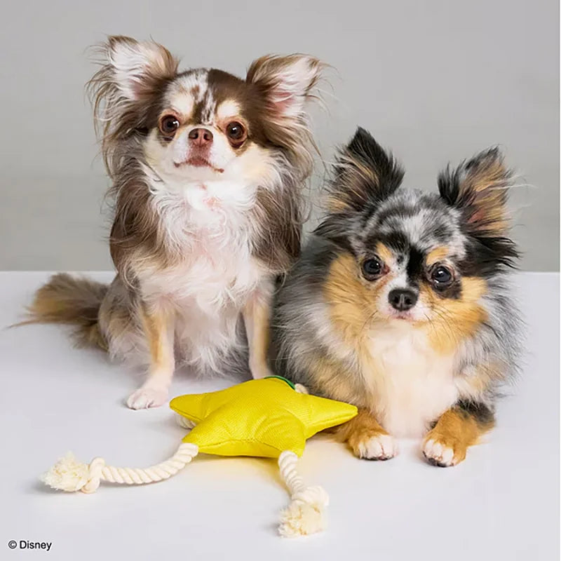 ロープトイ for Dog パオプの実 - KINGDOM HEARTS PETs