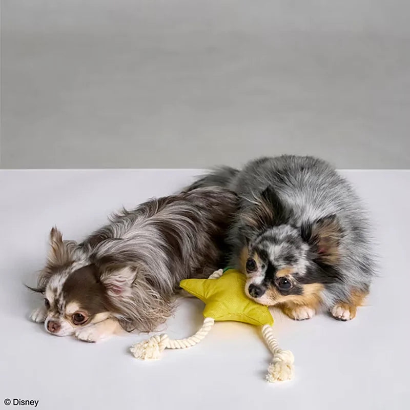 ロープトイ for Dog パオプの実 - KINGDOM HEARTS PETs