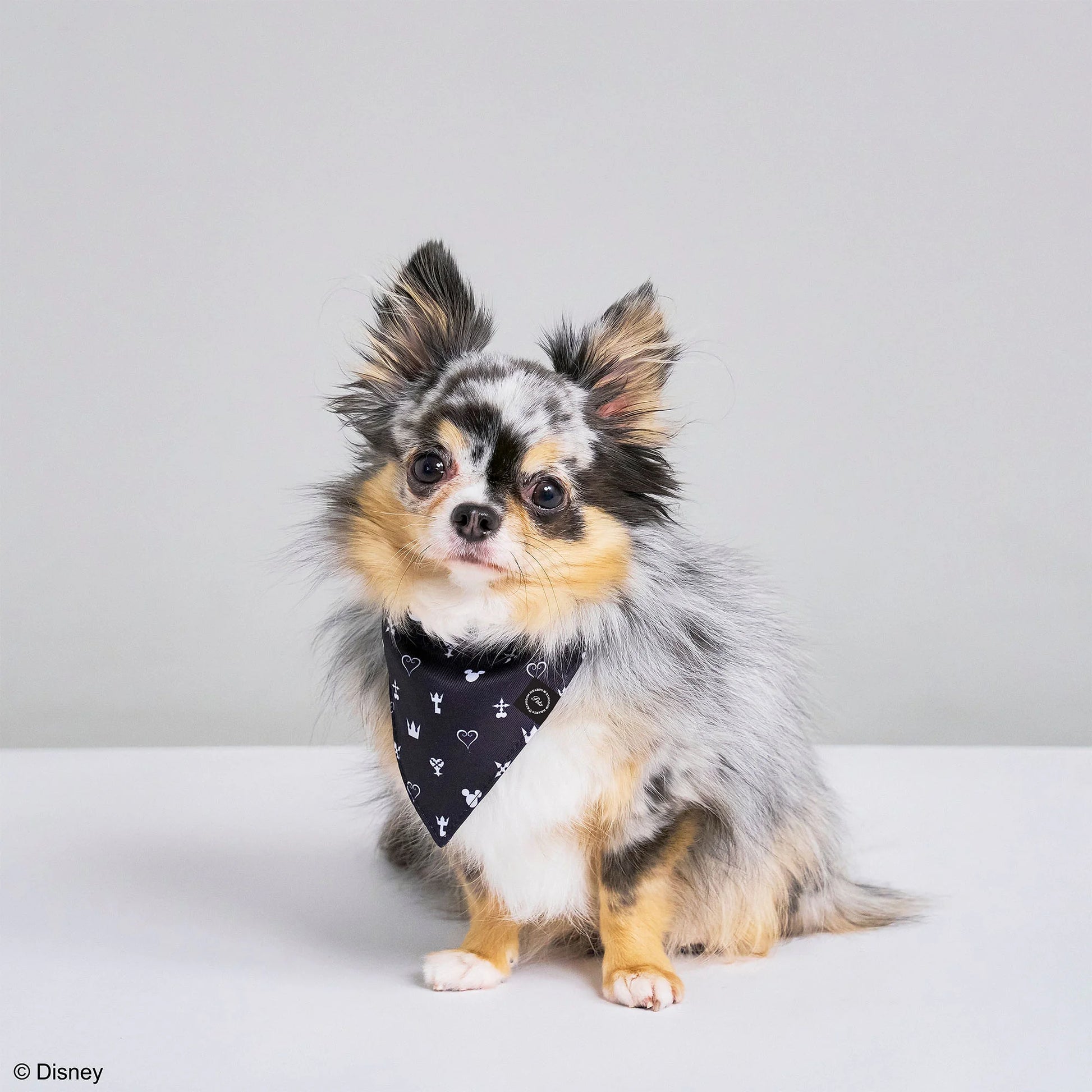 ペットバンダナ モノグラム - KINGDOM HEARTS PETs